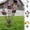 3Pcs garden stake Under $5 a1, variant on Werulen Colorful Metal Ground Stake Flytrap Sunflower Pattern, Patio Lawn Potted Plant Outdoor Landscape Use, Metal Garden Stake, Floral Yard Ornament, Potted Plant Decor