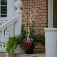 thumbnail image 2 of 9070912 LIGHTED BRANCHES 3PC Celebrations LED Warm White 38 in. Lighted Branches Accessory (Pack of 1), 2 of 3