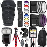 Sony FE 20-70mm f/4 G Lens for Sony E + 13 Piece Filter & More- 64GB Accessory Kit (International Version)
