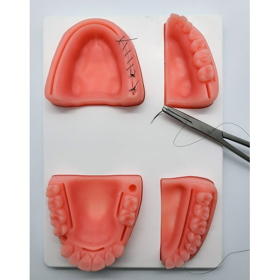 The Suture Buddy Dental Suture Pad