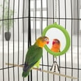thumbnail image 5 of Pet Bird Mirror with Bell Interactive Parrot Toy Bird Cage Mirror for Cockatiel Parakeets Canaries, 5 of 7