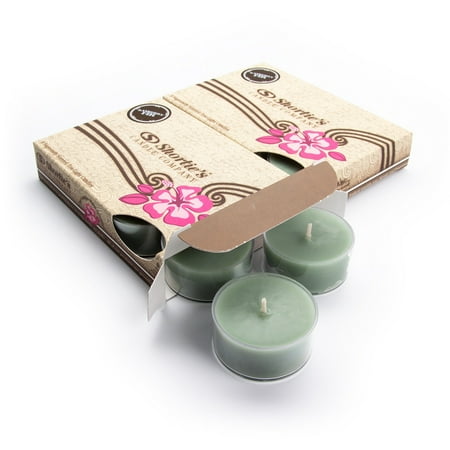 London Scented Cup - Bayberry Fir Tealight Candles Multi Pack (12 Green Highly Scented Tea Lights) - Made With Natural Oils - Clear Cup for Beautiful Candlelight - Christmas & Holiday Collection