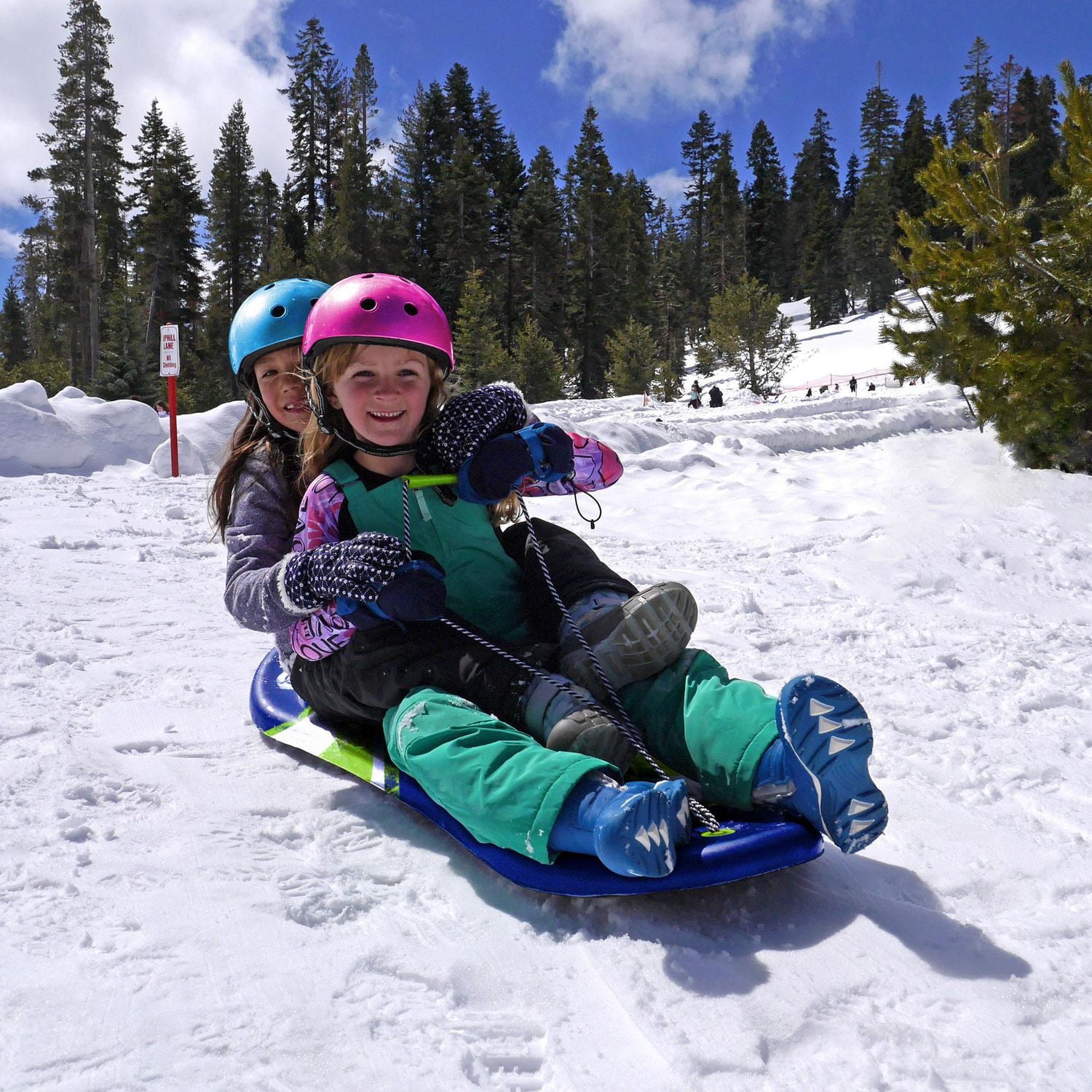 48po Planche à Neige-Vert