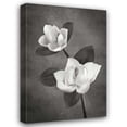 thumbnail image 1 of Vitaly Geyman 28x40 Gallery Wrapped Canvas Wall Art Titled - Magnolia Duet II BandW, 1 of 4