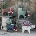 thumbnail image 3 of Maceta de Cerámica para Cactus 4 Piezas Sunnimix Decoración Verde y Blanco, 3 of 8