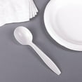 Karat PP Plastic Extra Heavy Weight Soup Spoons White 1,000 ct