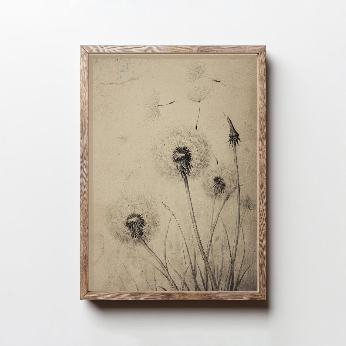 Vintage Dandelion Print Neutral Cottage Nursery Wall Decor Botanical Wall Art Antique Flower Print Floral Home Decor