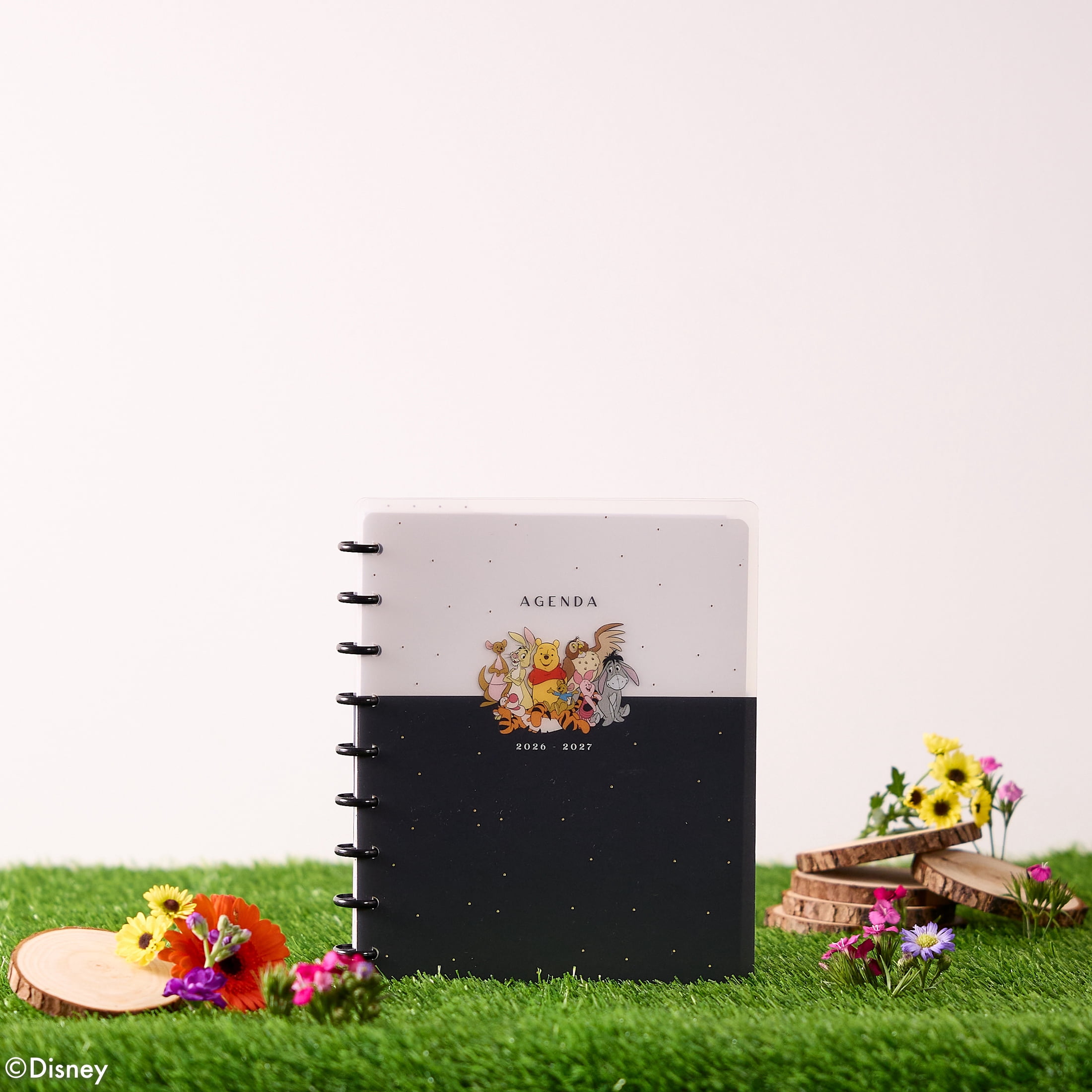 Happy Planner Disney Pooh & Company Monthly Weekly Classic 15 Month Disc Bound Dated Planner (7” x 9.25”) April 2026 to June 2027, recycled plastic disc-bound