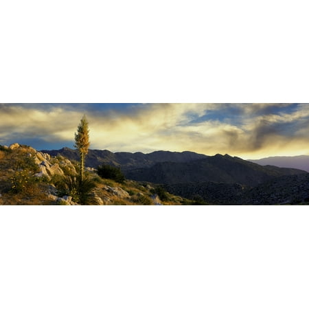 Cloud 9 San Diego Clouds over Anza Borrego Desert State Park San Diego County California USA Stretched Canvas - Panoramic Images (27 x 9) ()