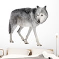 thumbnail image 1 of Mackenzie Valley Wolf 8 Wall Decal by Wallmonkeys Peel and Stick Graphic (48 in H x 47 in W) WM102790, 1 of 4