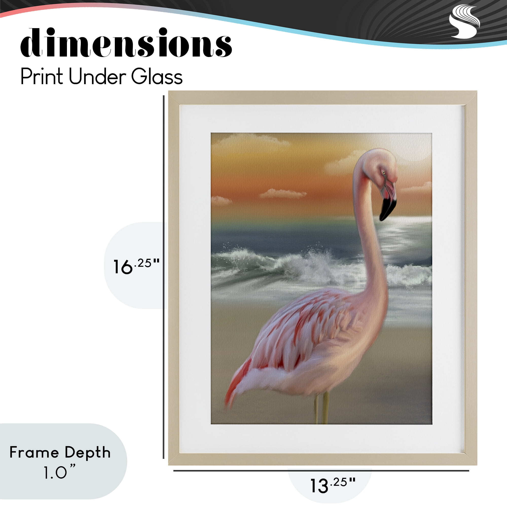 Stupell Industries Coastal Beach Flamingo Birch Framed Print Under Glass, design by Matthew Piotrowicz