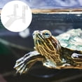 thumbnail image 4 of Miangastore 1pc Turtle Basking Platform Reptile Climbing Platform Tortoise Resting Platform, 4 of 9