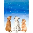thumbnail image 2 of Loreth, Lanie 19x24 White Modern Wood Framed Museum Art Print Titled - Three Dogs Star Gazing, 2 of 4