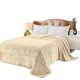 thumbnail image 1 of Cobertor Ligero Matrimonial, Súper Suave, Medidas: 210 cm x 170 cm, Colores Extra Firmes, Lavable En Casa. Ideal para Cualquier Temporada del Año. Full Size Blanket BEIGE, 1 of 6