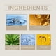 thumbnail image 4 of Warm Color Changing Liquid Foundation, Brightening And Easy Natural Concealer Light Base Makeup Skin Tone Pure And Moisturizing Liquid Foundation, 4 of 5