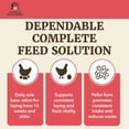 thumbnail image 4 of Premium Poultry Layer Pellets for Laying Hens, 16% Protein Blend Feed, 2000 lb, 4 of 12