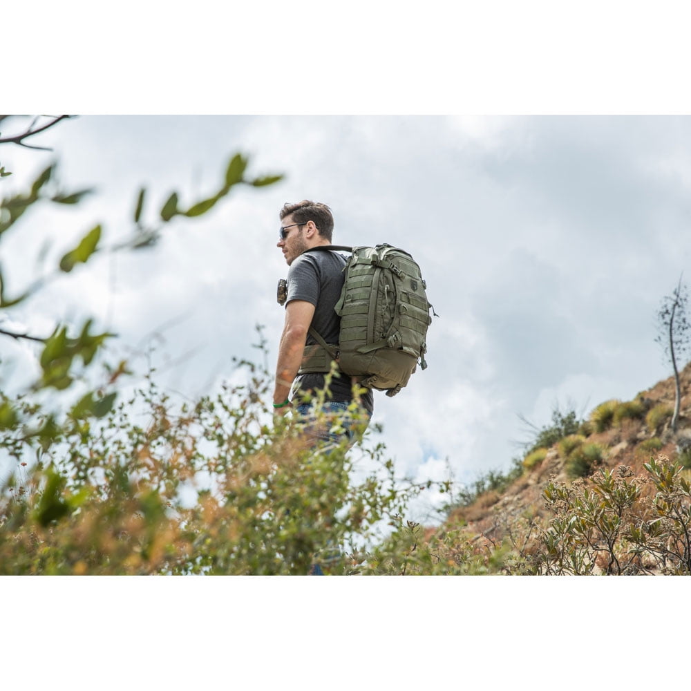 cannae pro gear phalanx