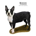 thumbnail image 3 of CafePress - Boston Terrier Mug - 11 oz Ceramic Mug - Novelty Coffee Tea Cup, 3 of 6