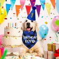 thumbnail image 6 of Dog Birthday Party Supplies, X-Large, Blue - Includes Hat, Bandana, Bow Tie, Numbers & Glue Points, 6 of 6