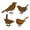 C, variant on Dserhfy 1/4/5Pcs Rusty Bird Silhouette Garden Decoration Weather-proof Outdoor Courtyard Yard Backyard Lawn Metal Chick Duck Squirrel Iron Art Stake Ornament