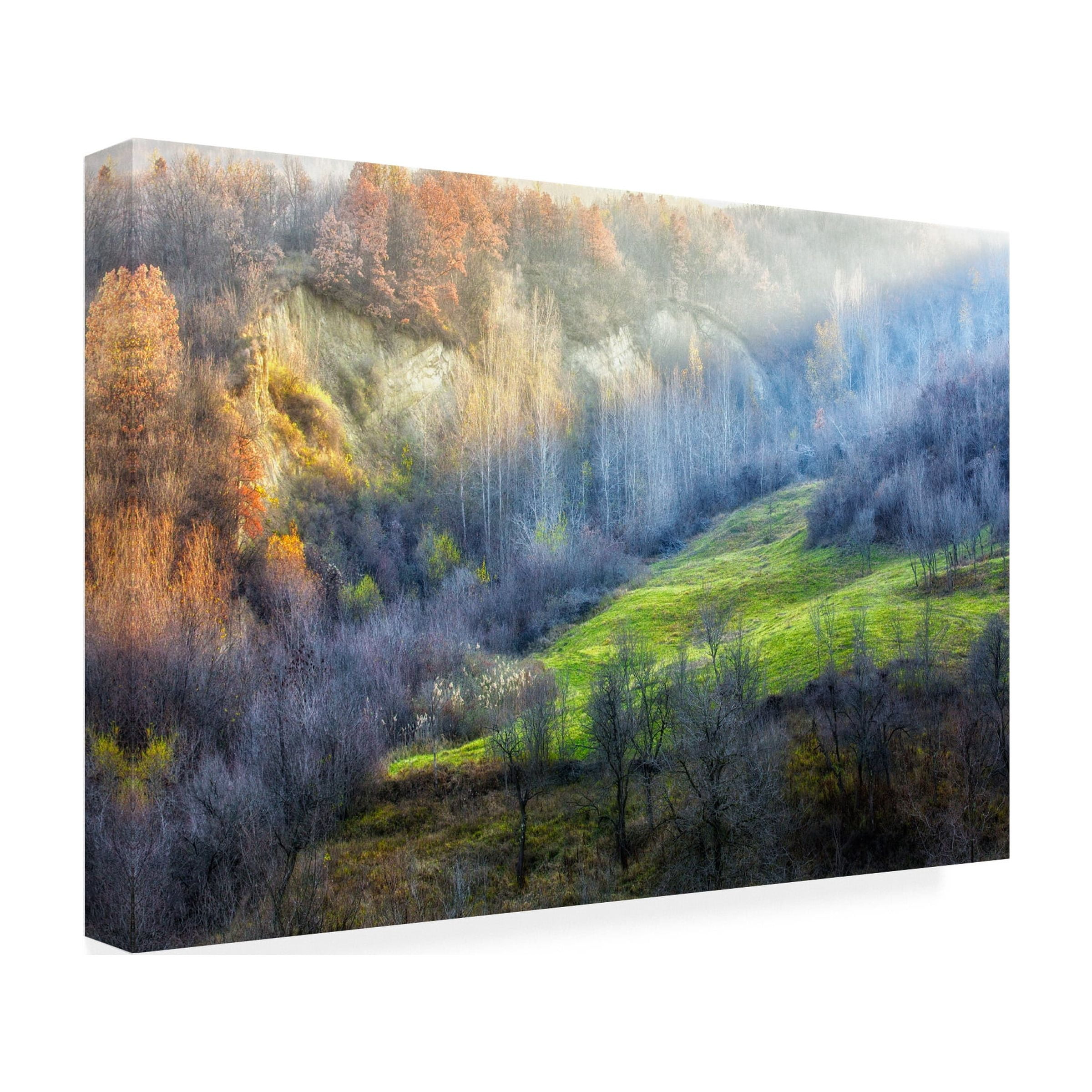 Adrian Popan 'November Colors' Canvas Art