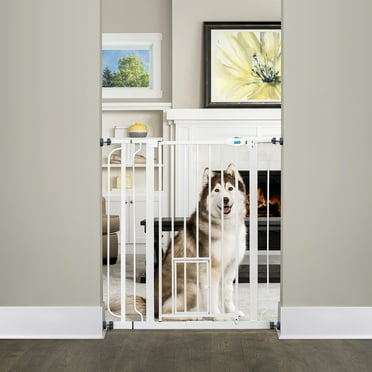 Carlson Pet Products Extra Tall Walk Through Pet Gate, 36" H x 29"-36.5" W,  with Pet Door, Includes 4" Extension Kit, 4 Pack Pressure Mount Kit and 4 Pack Wall Mount Kit, White