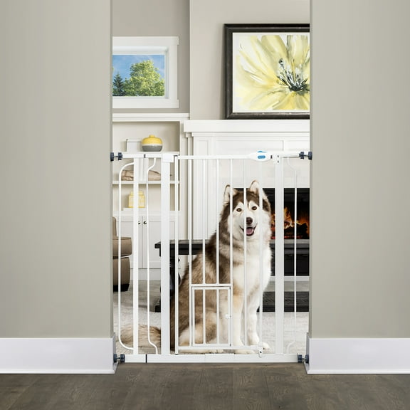 Carlson Extra Tall Walk Through Pet Gate with Small Pet Door and Extension Kit, 36" H x 29"-36.5" W
