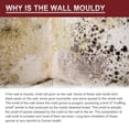 thumbnail image 6 of Mildews Cleaner Foam, Effective Black Mold Removal, Mould And Mildew Spray, Black Mould Remover Spray Indoor, Multi-purpose Foam Cleaner, Mould And Mildew Remover, for Kitchen, Bathroom, Wall, 6 of 7
