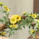 thumbnail image 4 of Enredadera Artificial Verde Colgante, Planta Decorativa De Ratn Para Interiores, Flores Artificiales Para Sala De Estar, Enredaderas Para Pared, Decoracin Moderna Para El Hogar, Para, Ukhbmc, 4 of 8