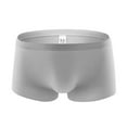 thumbnail image 1 of KaLI_store Boxer Briefs for Men Pack Men's Underwear Boxer Briefs Cotton Polyester No Ride-up Trunks Sports Underwear Grey,L, 1 of 3