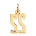 thumbnail image 3 of 14K Yellow Gold Polished Finish Small Size Elongated Shape Number 22 Charm Pendant, 3 of 4