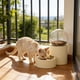 thumbnail image 1 of Comedero automático para mascotas con temporizador y almacenamiento sellado - Dispensador programable de pienso seco para gatos, perros y animales pequeños, 1 of 6