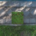 thumbnail image 4 of HOOWIFFY Artificial Moss Lawn Carpet, Realistic Green Plastic Moss Mat for Decor, Easy to Install and Maintain, 4 of 8