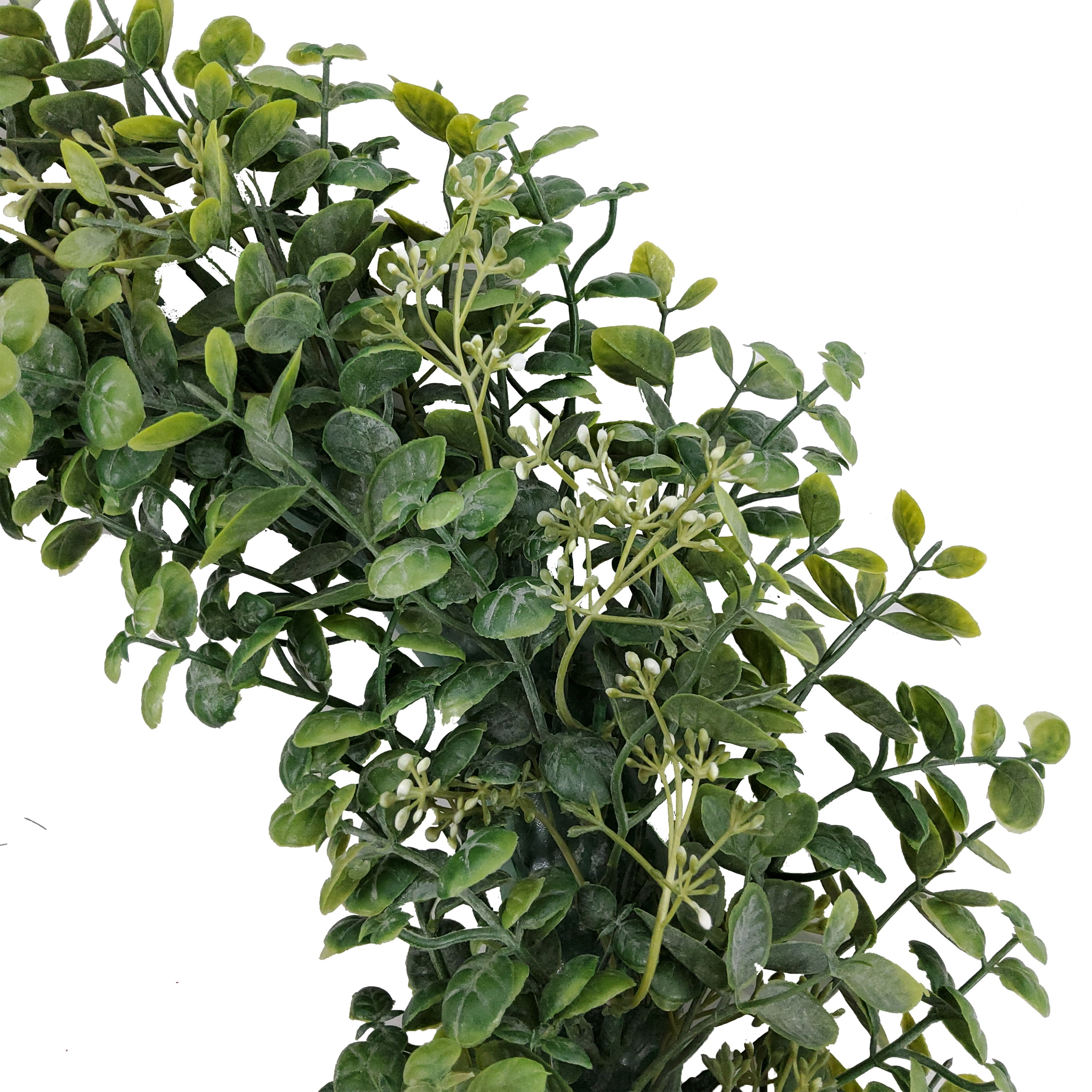 Mainstays 18in Indoor Artificial Boxwood Wreath, Green Color. Plastic Material. Not in Pot.