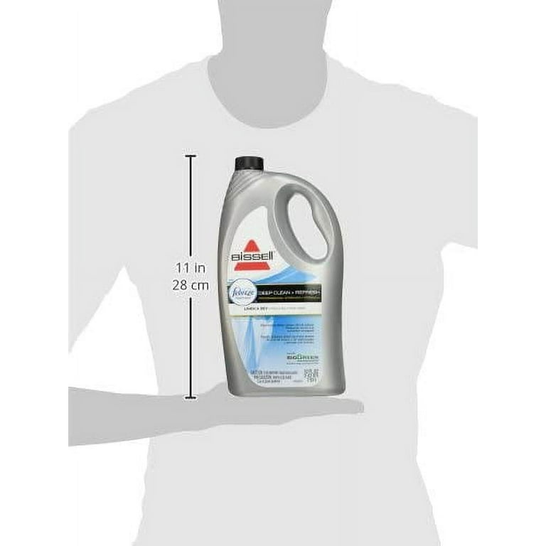 Lowes steam sale cleaner rental