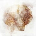thumbnail image 2 of Roko, Ken 15x15 White Modern Wood Framed Museum Art Print Titled - Coastal Mist Scallop, 2 of 4