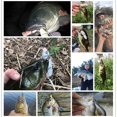 thumbnail image 3 of Minnow Fishing Lures Hard Plastic Two-section Jointed Fishing Lures 9cm 34.5g Sinking Bluegill Swimbait Glide Bait Crankbait Wobbler Bass Pike Tackle, 3 of 4