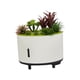 thumbnail image 1 of Difusor de aceites esenciales Gloria humidificador con altavoz y planta realista 200 ml, 1 of 9
