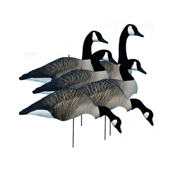 Higdon Alpha Wobbler Magnum Full Form Shell Canada Goose Decoy Polymer 6PK