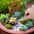 thumbnail image 4 of HERFIER 5pcs Stainless Steel Tweezers Succulent Gardening DIY Tool Gardening Accessory 9.83x0.47x0.47in, 4 of 8