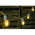 thumbnail image 3 of Commercial String Lights Commercial LED Globe String Lights 48 Foot White Wire Warm White, 3 of 4