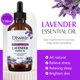 thumbnail image 4 of Teissuly Essential Oil Skin Care Oil Essential Natural Aromatherapy Essential Oil 10ml Aroma Unilateral 118ml Teissuly WER202401272566, 4 of 6