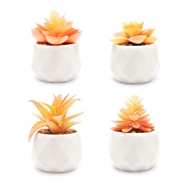 Set de suculentas artificiales VIVERIE Mini naranja con cerámica blanca