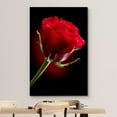 thumbnail image 3 of HFDF Canvas Prts Wall Art - Closeup of Red Rose Flower Agast Black Background | Modern Wall Decor/Home Decoration Stretched Gallery Canvas Wrap Giclee Prt & Ready to Hang - 8x10inch Framed, 3 of 5