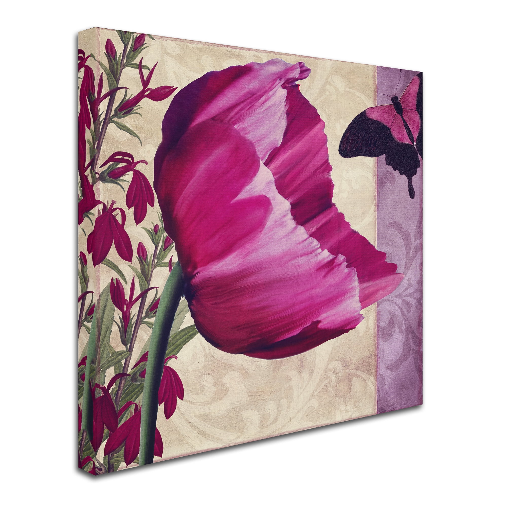 Trademark Fine Art " Pink Poppy II " Canvas Art by Color Bakery