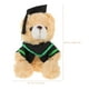 thumbnail image 5 of KAKOWELY Muñeco de oso de graduación, birrete de graduación, peluche de dibujos animados, adorable recuerdo, 5 of 5