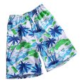 thumbnail image 1 of Puntoco Pantalones Cortos Con Estampado Hawaiano Para Hombre, Pantalones Cortos Con Bolsillo Y Cordón, Color S, Pantalones Cortos Hombre, 1 of 4