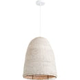 thumbnail image 2 of Cyan Design - Dedal - 1 Light Pendant-23 Inches Tall And 16.75 Inches Wide     -Traditional Installation, 2 of 3