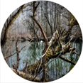 thumbnail image 1 of Slipmat Slip Mat Scratch Pad Feutre pour n'Importe Quel 12" LP Vinyle Tourne-Disque Lecteur Graphique Personnalisé - Forêt 1, 1 of 1