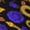 2 Black-1, variant on Picia Women Crew Soft Moisture-wicking Socks Golden Snake And Purple Rose Pattern Design Cotton Socks, One Size fit All